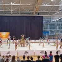 Всероссийских соревнованиях по художественной гимнастике 