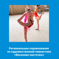 Региональные соревнования по художественной гимнастике 