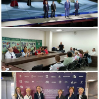 Международные соревнования по спортивной гимнастике на призы олимпийского чемпиона Евгения Подгорного.