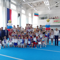 Региональные соревнования по спортивной гимнастике. Юноши.