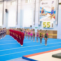 Приём в юных гимнастов.