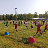 Показательные выступления гимнастов