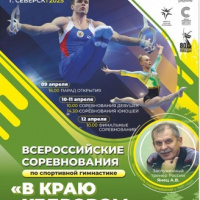 Ежегодные Всероссийские соревнования по спортивной гимнастике 