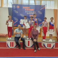 Региональные соревнования по спортивной гимнастике , посвященные Всероссийскому Дню Гимнастики.