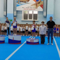 Городские соревнования по спортивной гимнастике «Юный гимнаст».
